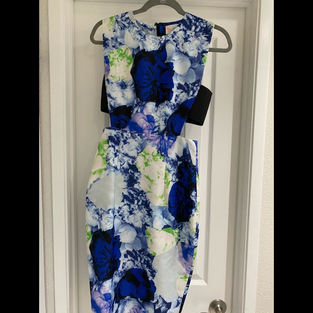 Vici Side Cut Out Sheath Floral Dress  (Small)